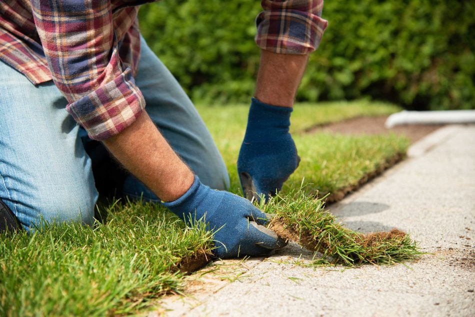 lawn-maintenance