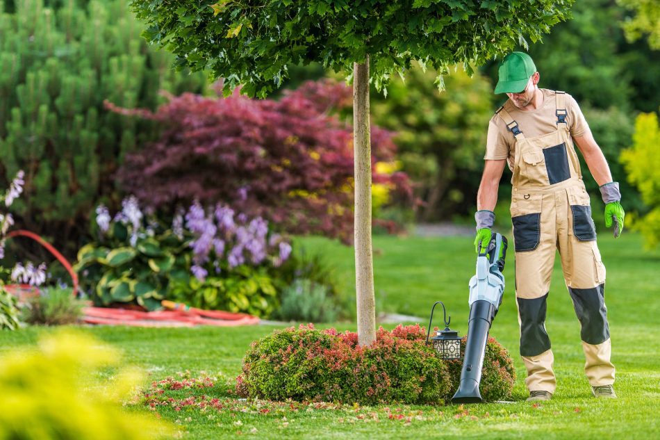 men-with-leaf-blower-cleaning-backyard-garden Man with leaf blower doing spring cleanup